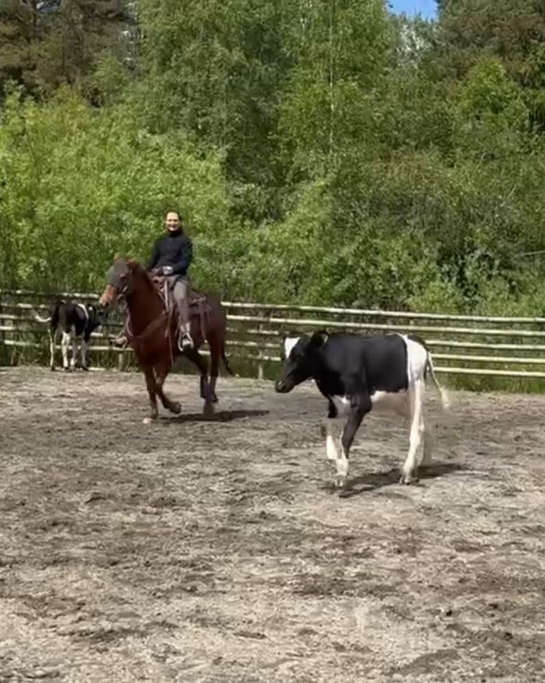 Cody's Bonita