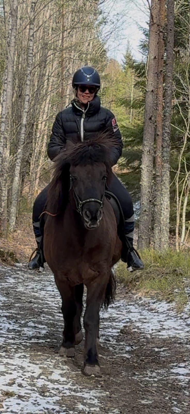 Birkir från Lappdal