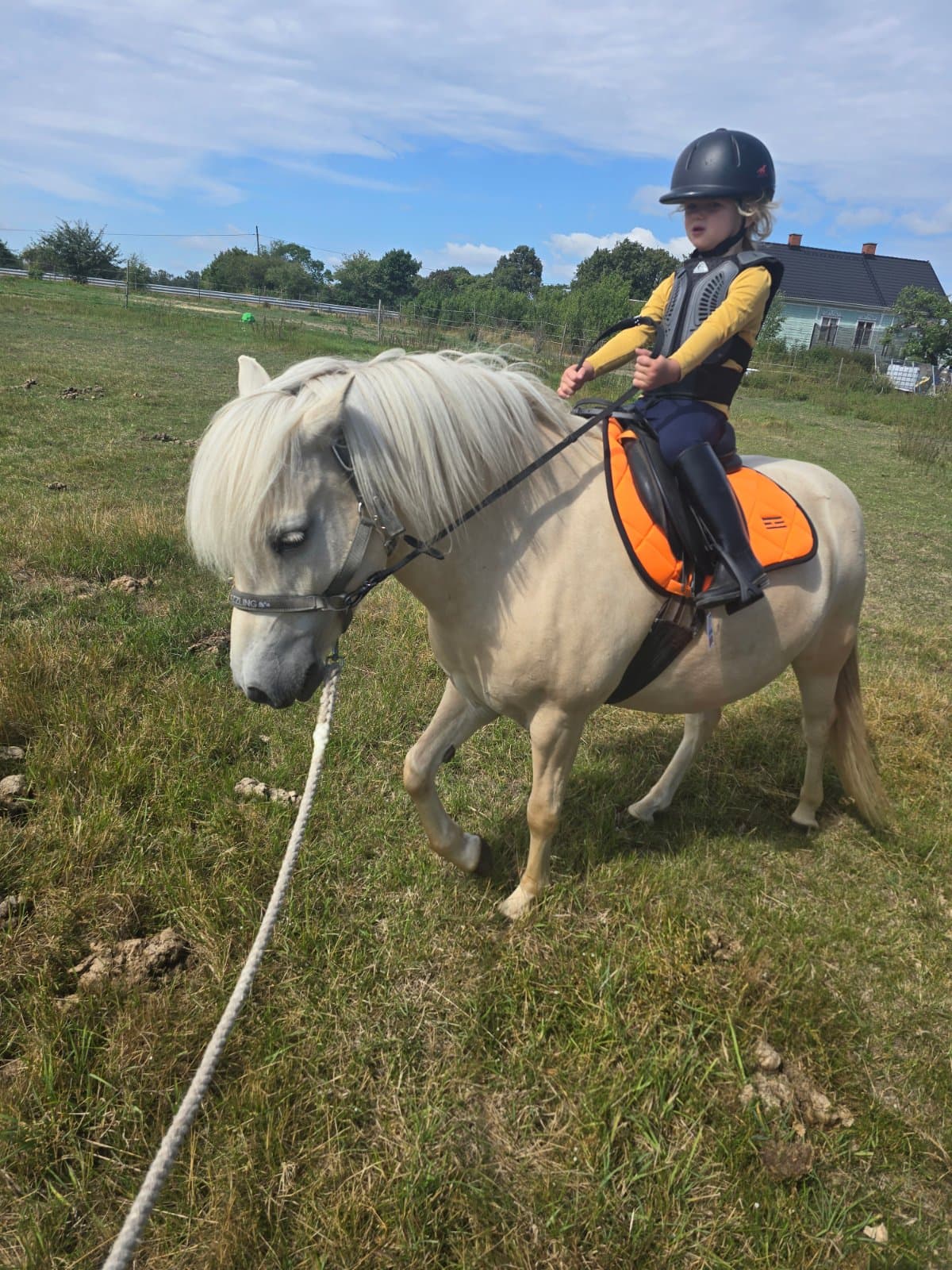 Mimmi