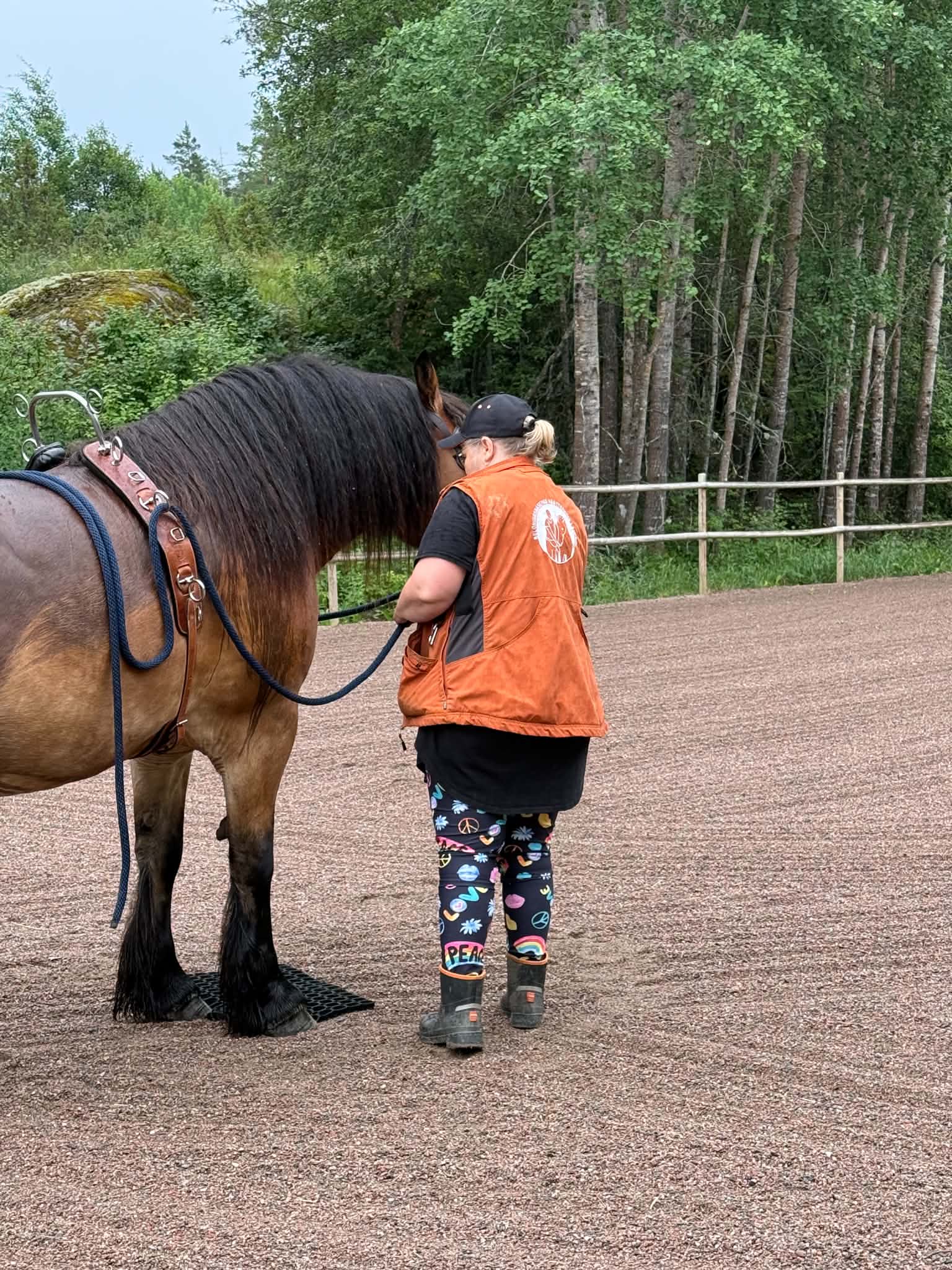 Tre hästar finns